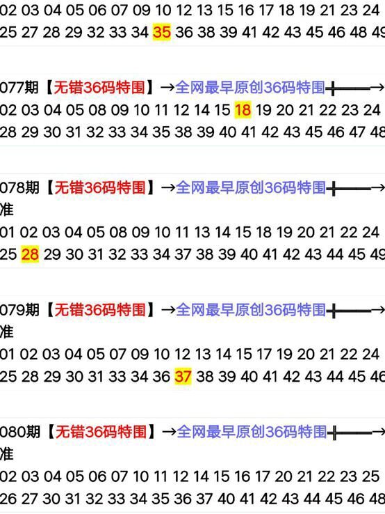 2024年新版49码表图,实地观察解释定义_TWR77.216仿真版