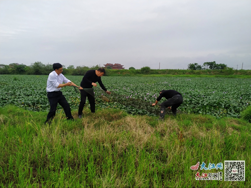 抚州临川罗针的奇妙日常新事揭秘