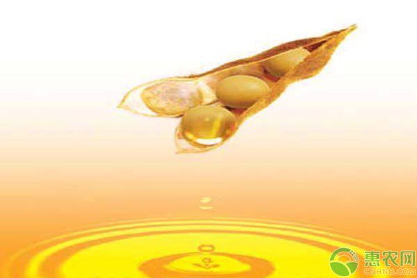 今日大豆油最新价格详解,步骤指南与价格更新通知