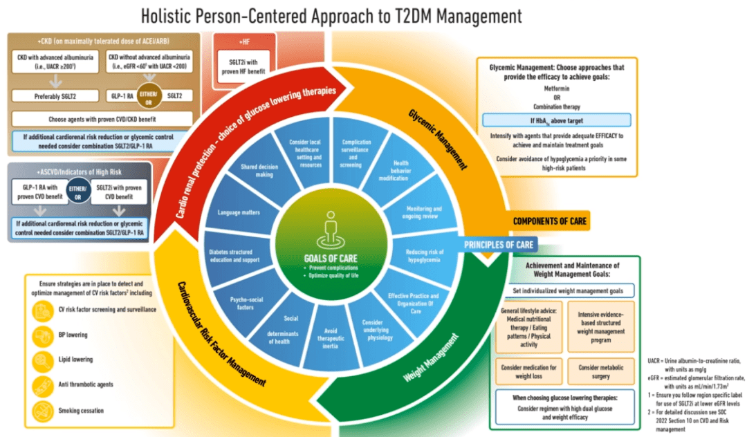 澳门濠江论坛免费下载,持续改进策略_DZZ77.157教育版