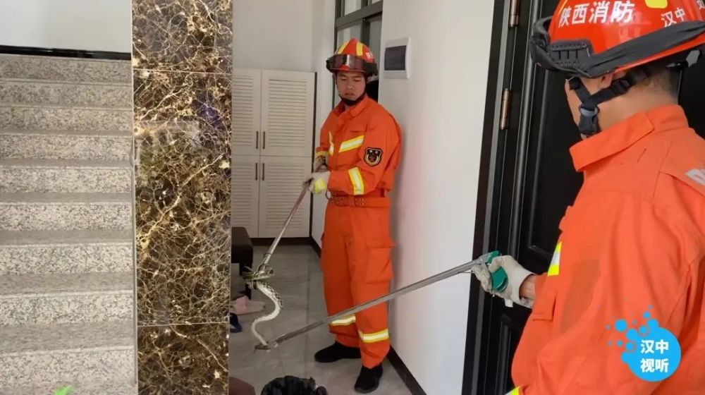 新澳门6合开彩开奖结果查询,安全保障措施_PRG77.333并发版