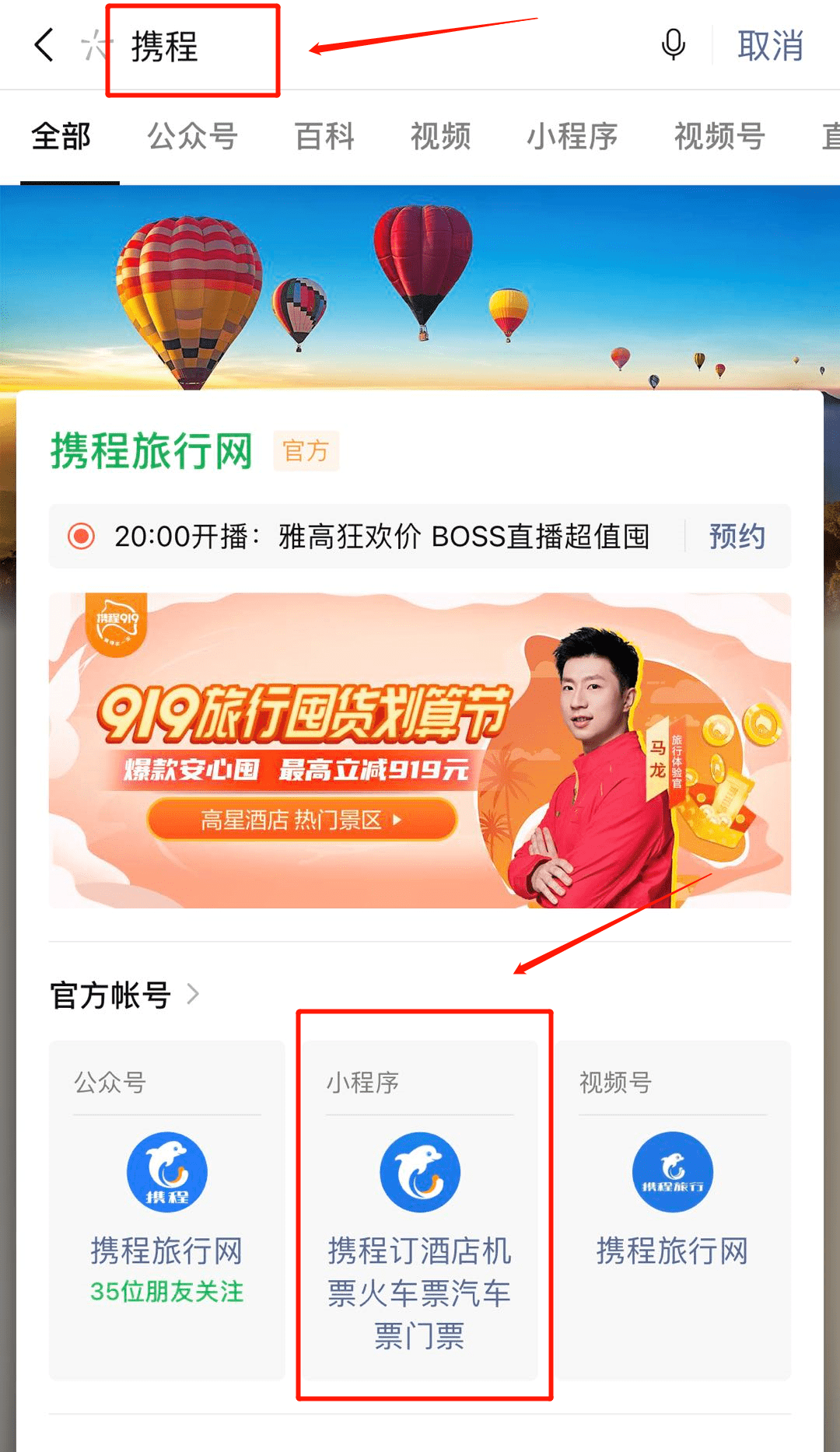 澳门天天彩免费资料大全免费查询狼披羊皮,可靠执行操作方式_GJF77.731车载版