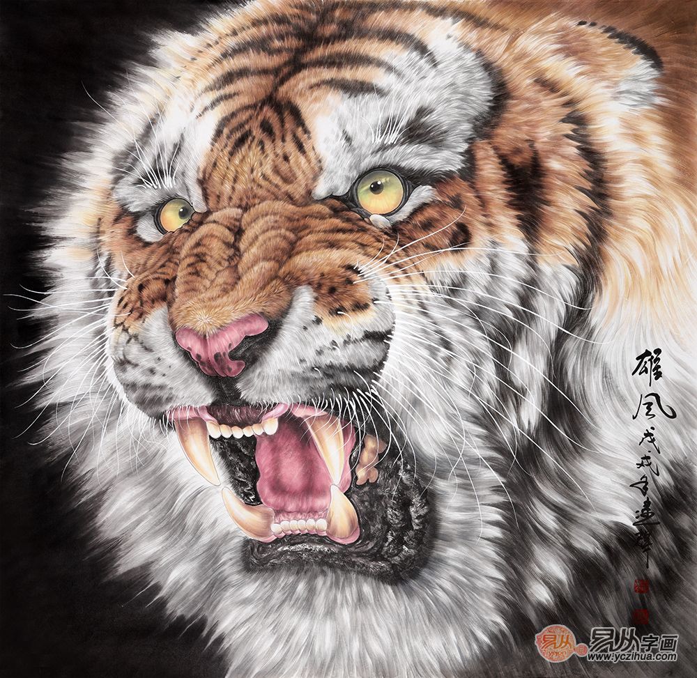 白老虎免费资料大全资料,实地验证策略具体_FVY77.224风尚版