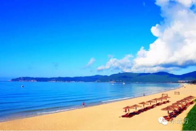 海南橡胶价格最新动态与心灵之旅,自然美景下的平和寻觅