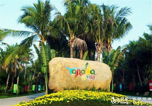 海南橡胶价格最新动态与心灵之旅,自然美景下的平和寻觅