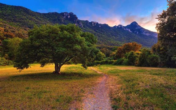 电脑微信最新版本，自然美景中的旅行邀请体验
