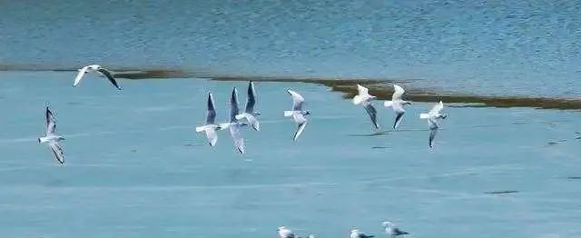 东方看大剧最新一期，自然美景探索之旅