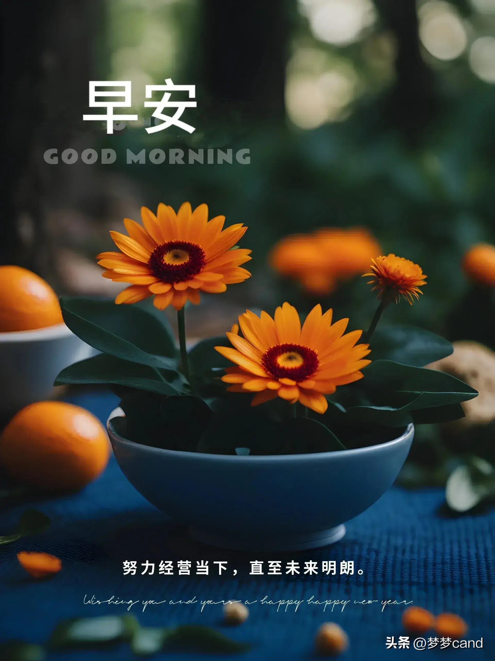 2024年天天彩资料免费大全,实践调查说明_PFQ55.719光辉版