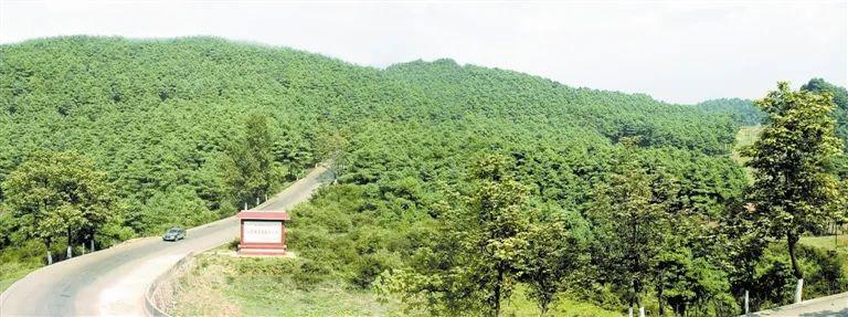 四维图新股票动态更新,自然美景探索之旅的最新消息