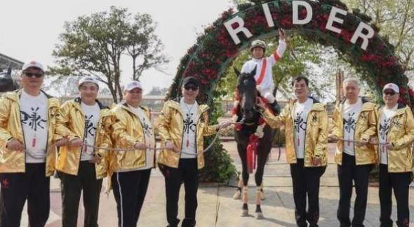 澳门开马场直播,专业数据解释设想_IRE55.402抗菌版