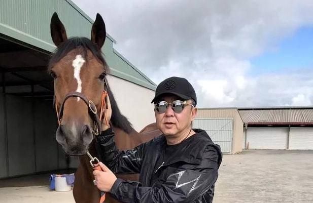 澳门开马场直播,专业数据解释设想_IRE55.402抗菌版