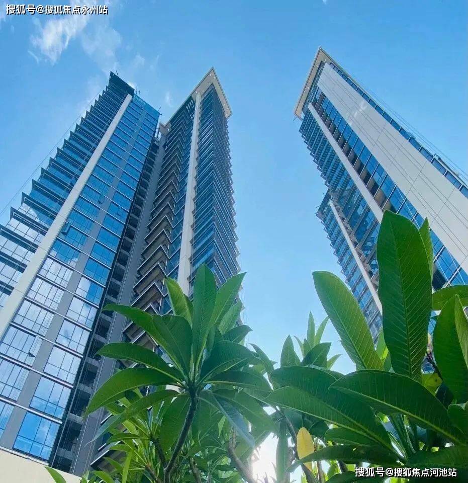 6合之家资料大全,数据详解说明_WDJ55.667收藏版