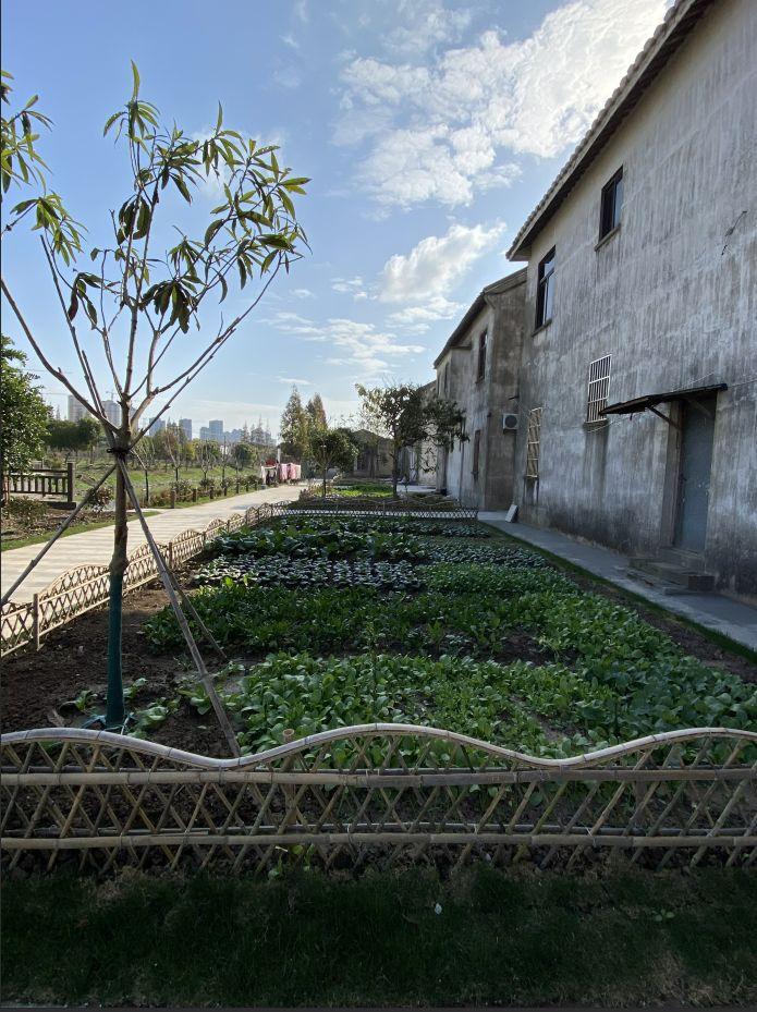 羊最新价格，成长之路与自信成就感的源泉