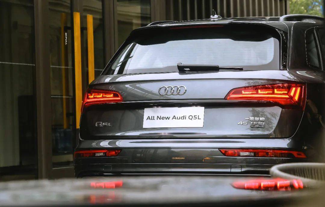 地震最新动态,力量与自信展现的变革之光