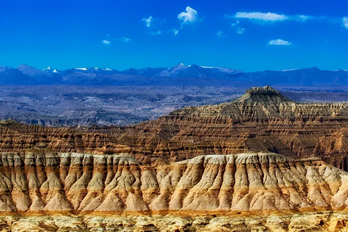 阿里最新动态揭秘,跟随阿里发展步伐的详细步骤指南