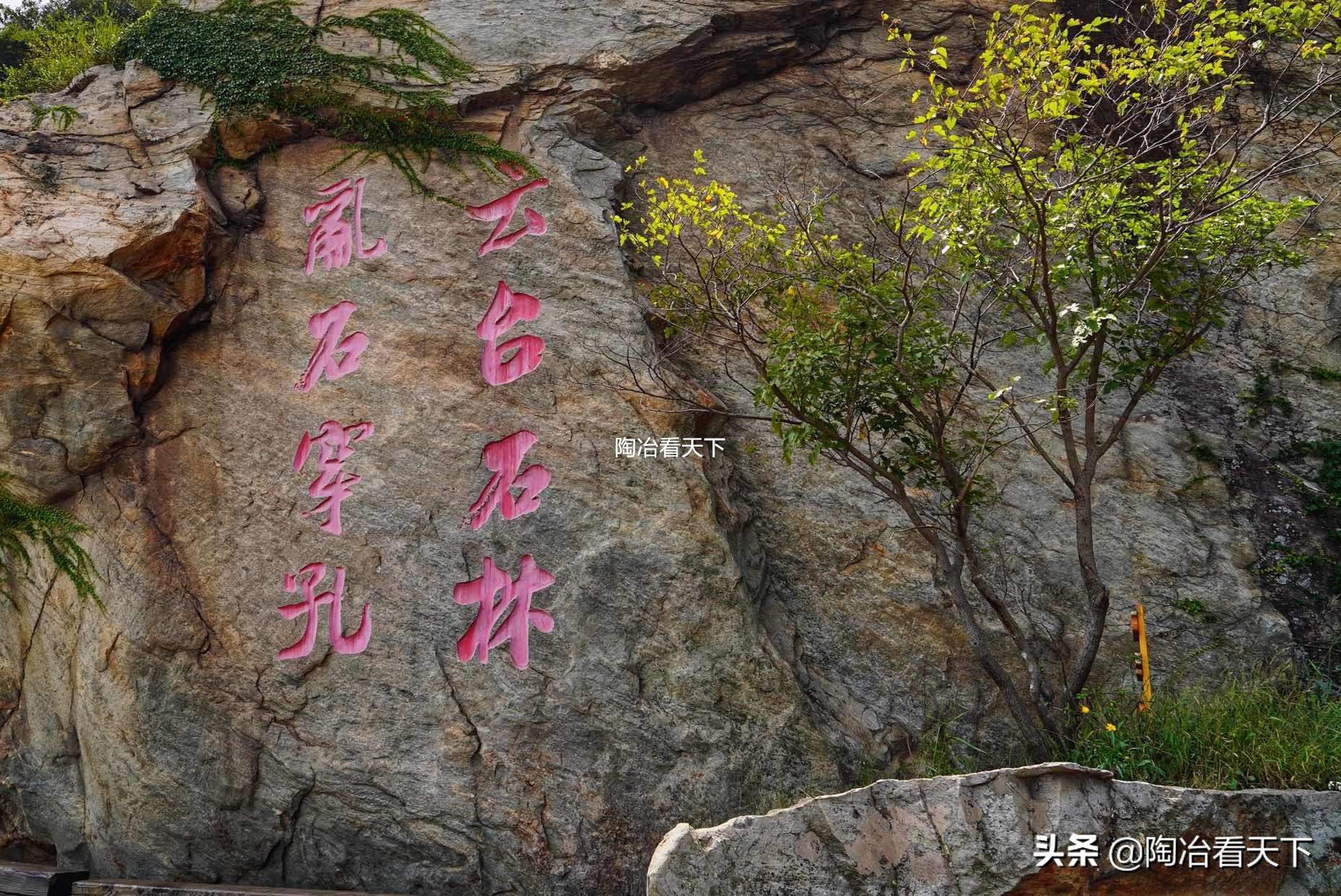 连云港最新动态,观点阐述与分析
