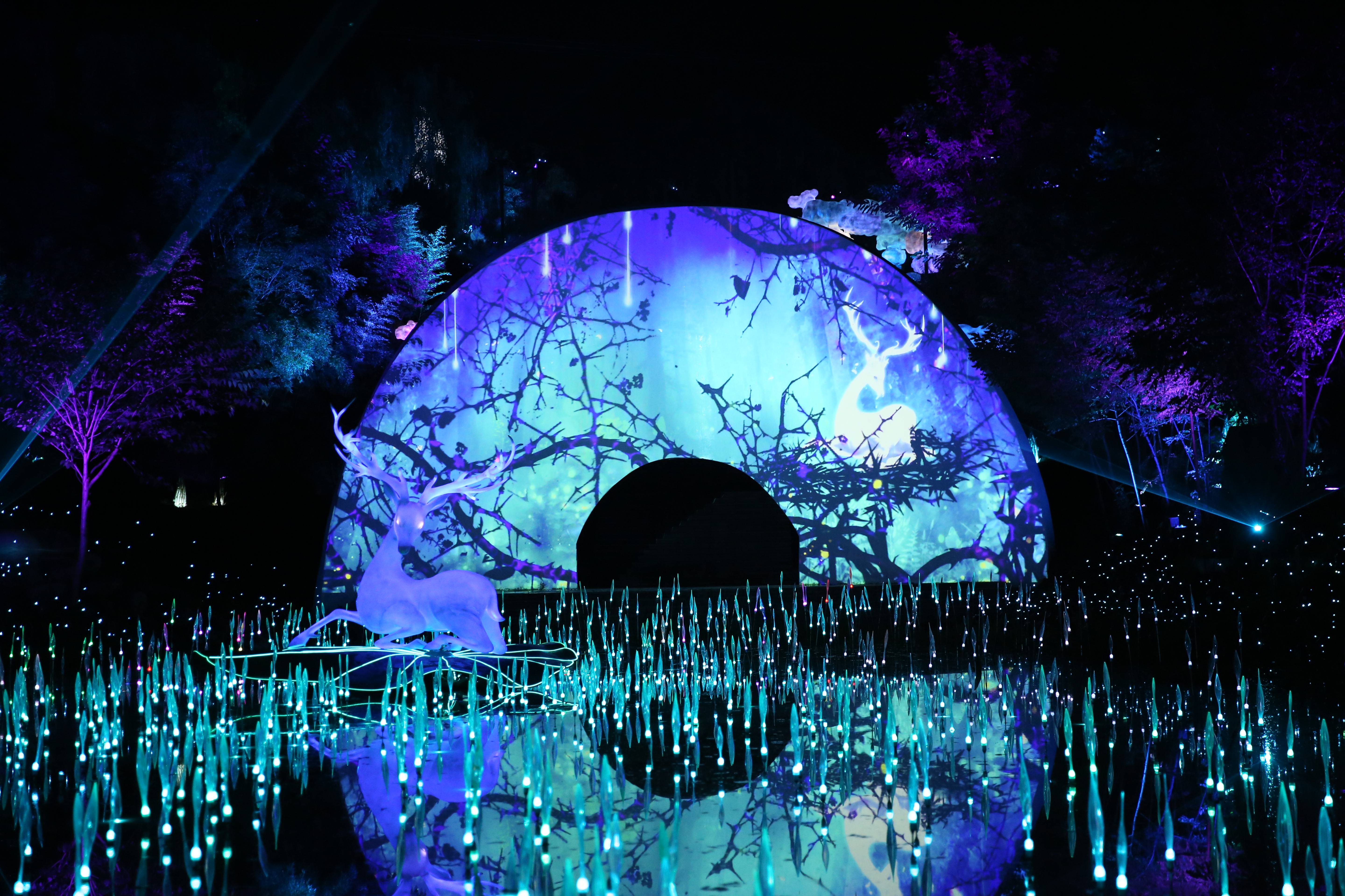 最新电影播放，光影交织的艺术盛宴