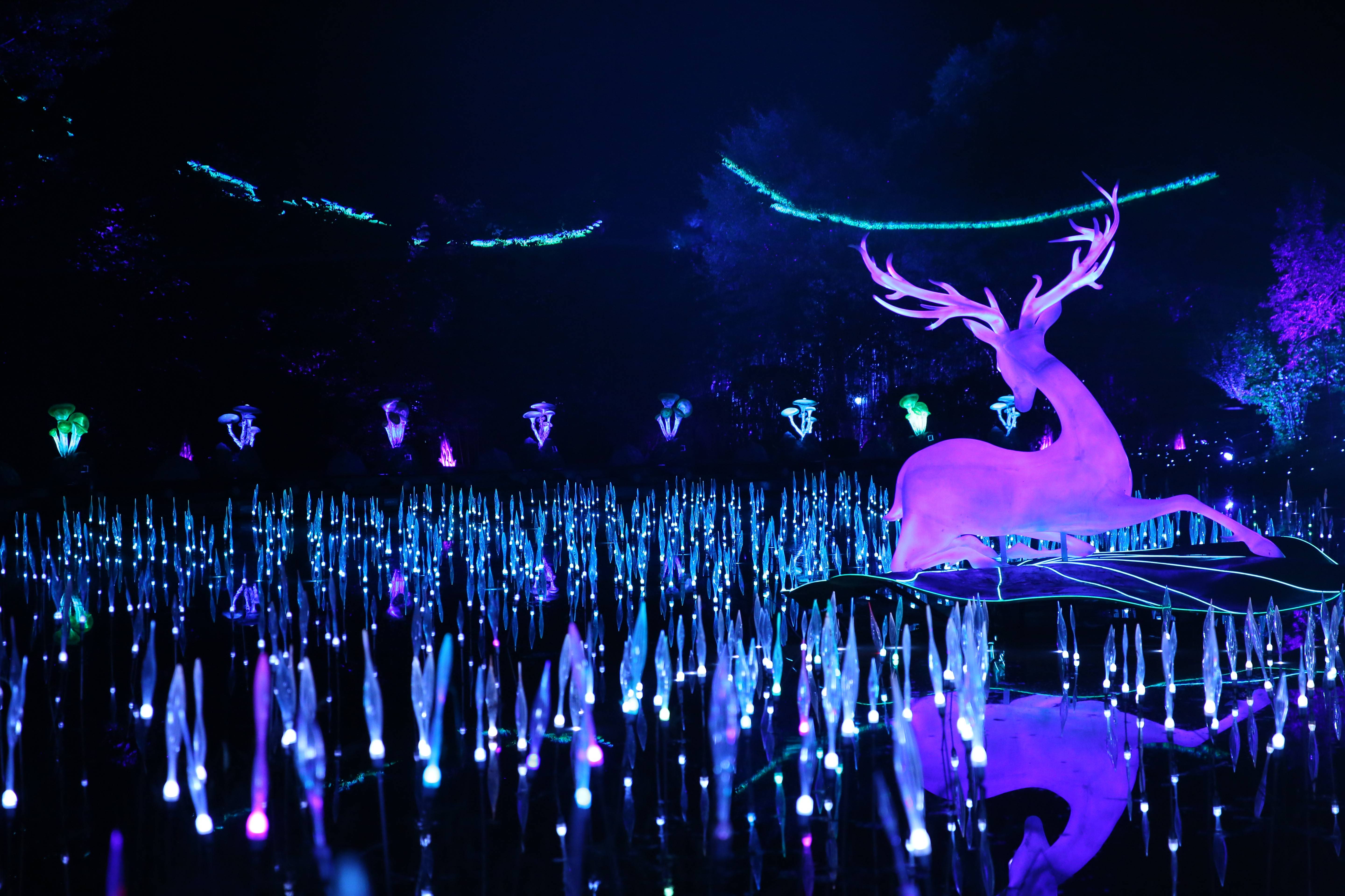 最新电影播放,光影交织的艺术盛宴