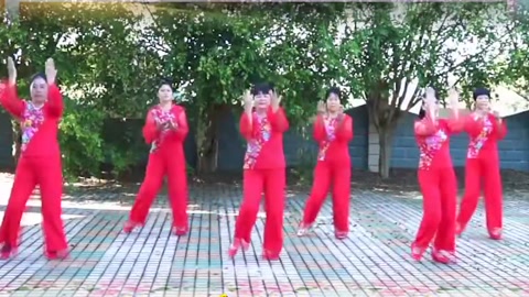 最新广场舞教程,一步步带你学会流行舞蹈动作