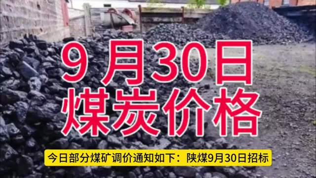 煤价最新动态揭秘,巷弄深处的煤炭故事与隐藏小店探秘