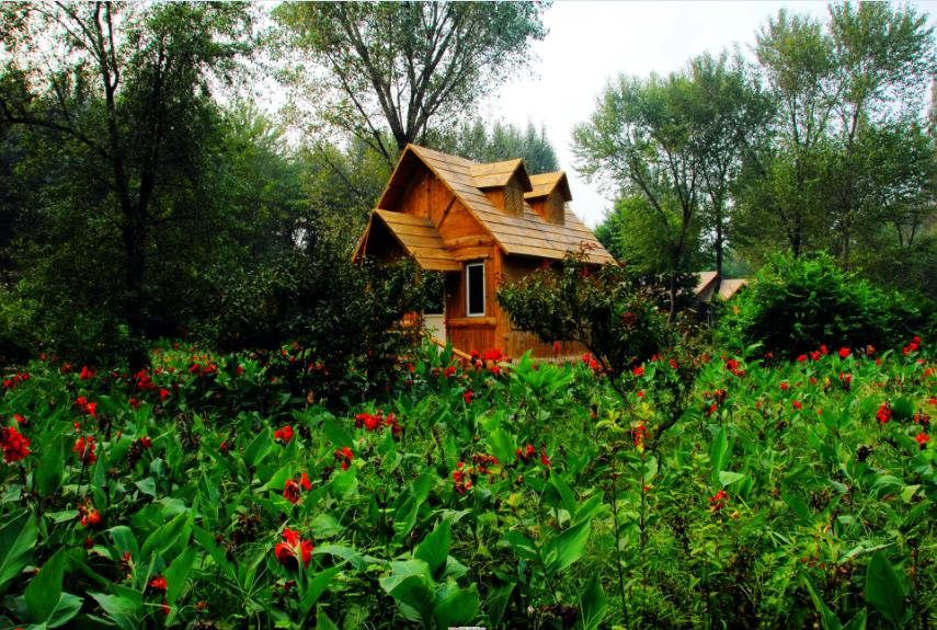 一站式城市服务平台 第644页