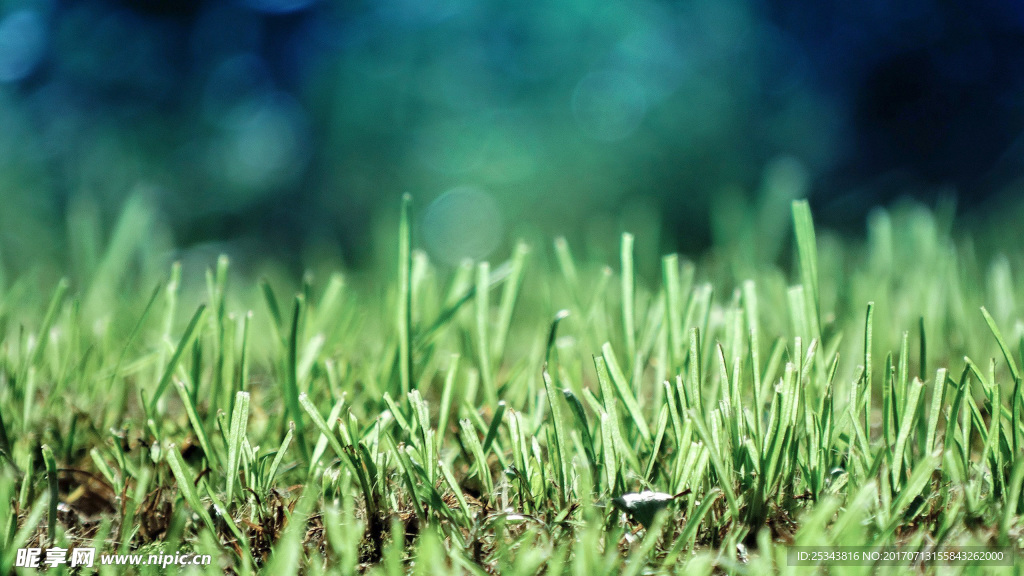 青草最新,科技新宠引领生活新纪元