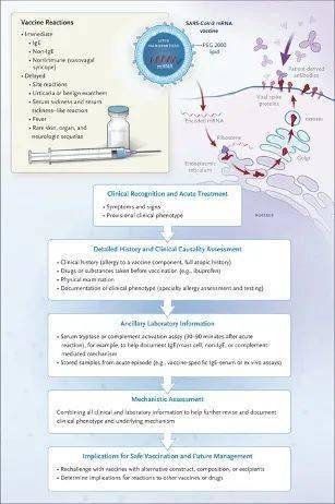 新澳好彩免费资料查询的特点,安全设计方案评估_LUU23.443旅行者版