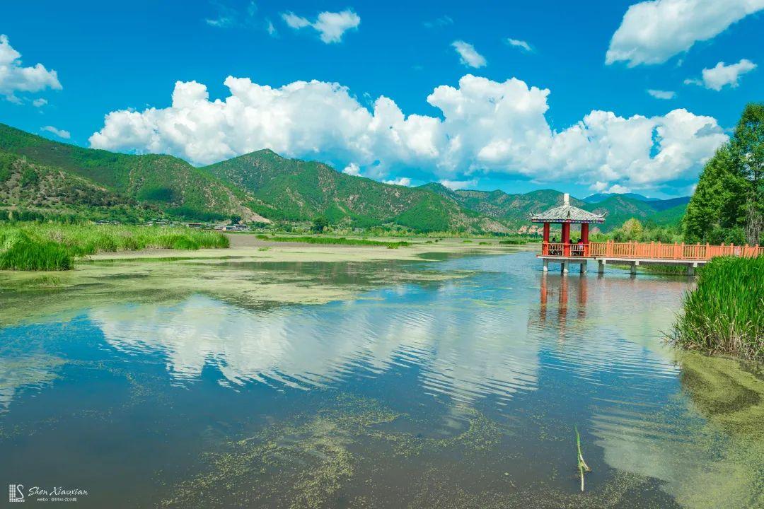 英雄联盟最新视频,与自然共舞,探寻内心平和的奇妙之旅