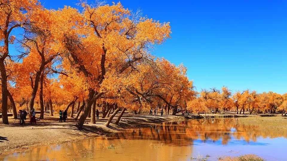 中国最新成就与自然美景的邂逅,重拾内心的宁静之旅