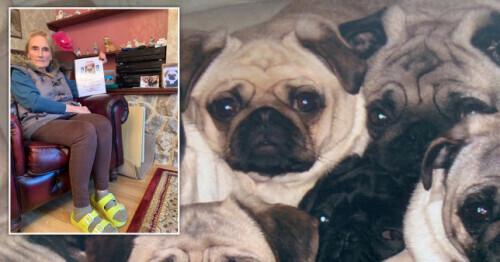 S2B2X电商体系 第634页