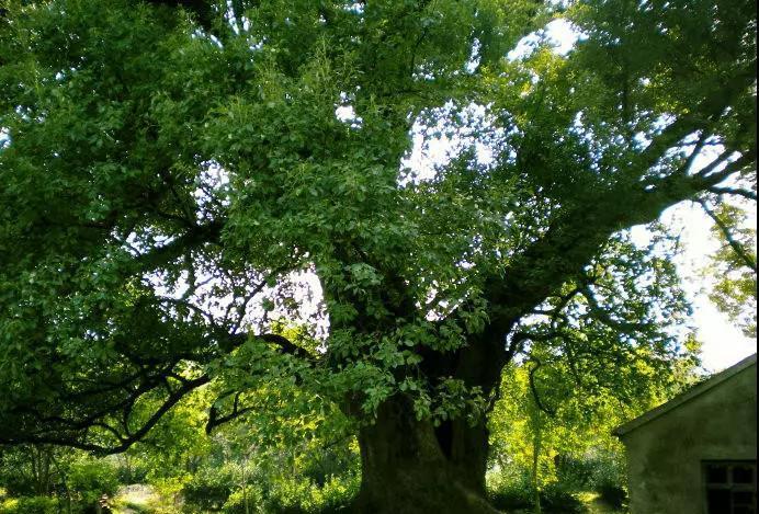 最新电池技术揭秘,小巷中的隐藏宝藏,探索未来能源革新之道