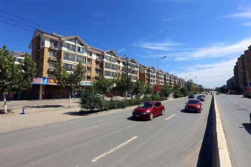 花生价格最新行情，变化中的机遇与自我成长潜力