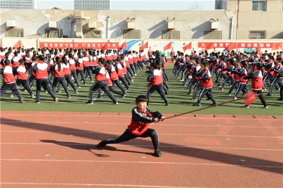 山东最新消息今日分享，完成任务与学习新技能的详细步骤指南