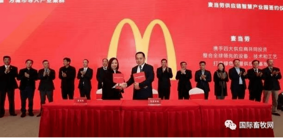 42088状元红免费资料,处于迅速响应执行_BPM27.518安静版