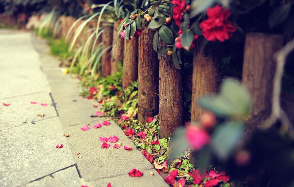 S2B2X电商体系 第617页