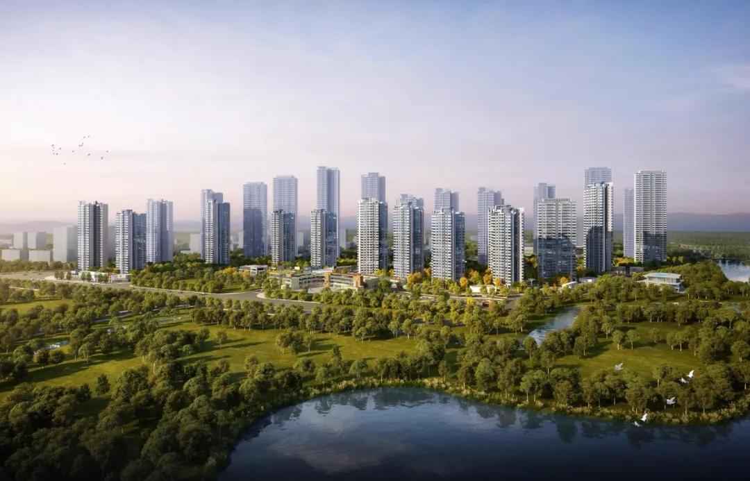 今年最新台风,力量变化与自信成就感的交织展现