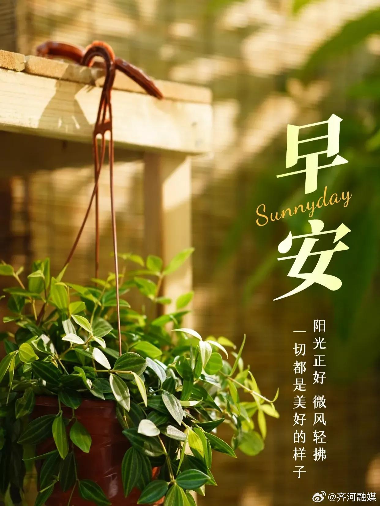 早安最新图，小巷深处的独特风情