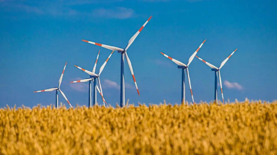 汽油价调整最新动态与绿色出行，探索自然美景之旅