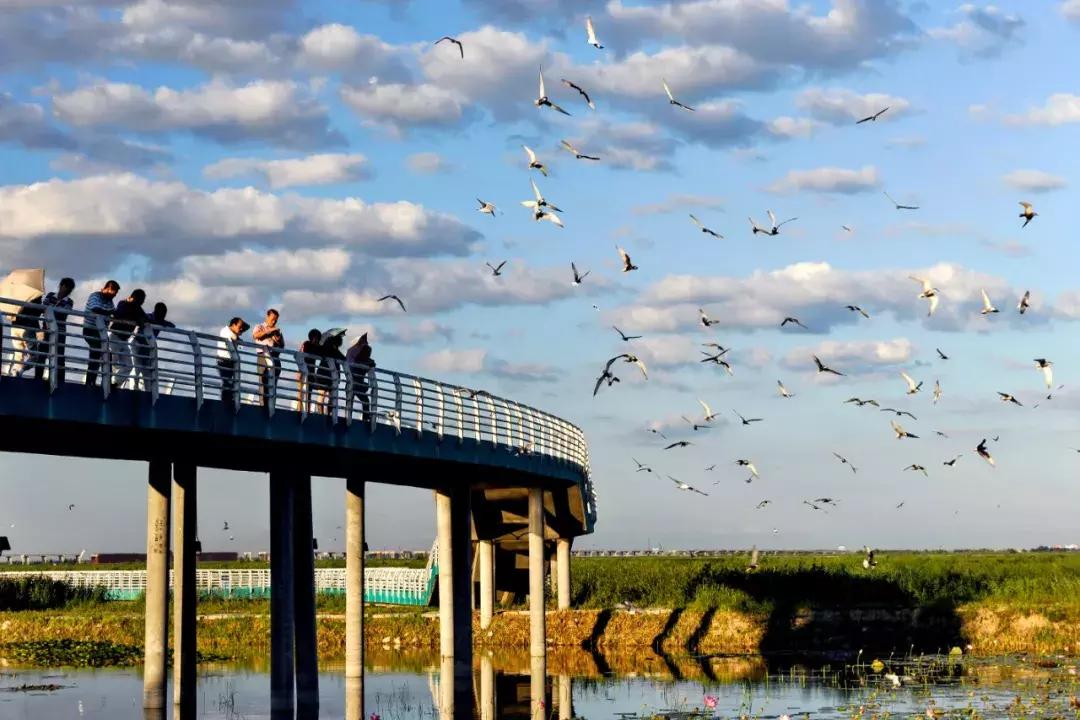 S2B2X电商体系 第604页