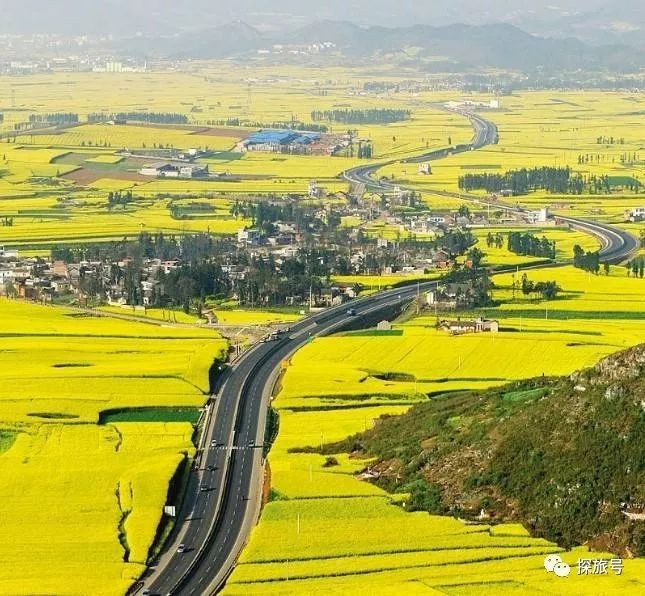 阳谷疫情下的自然探索之旅，寻找内心的平和与喜悦