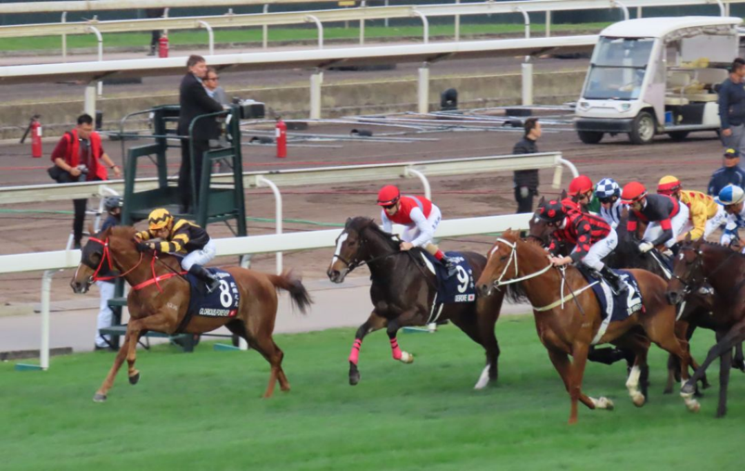 马会澳门一传真,执行验证计划_FEK81.612抓拍版