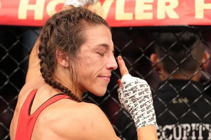 UFC最新动态与探索自然之旅，追寻内心的平和与宁静