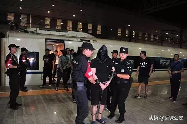 中国电信最新动态揭秘与小巷深处的神秘小店探秘之旅