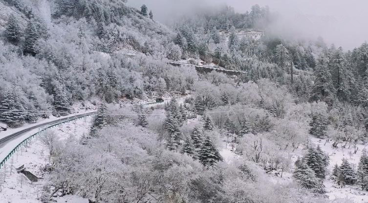 雯雪带你踏春寻心之旅，自然美景中的平和与喜悦