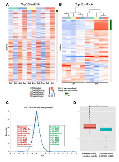 0149002.cσm查询,澳彩资料,实用性解读策略_NRM83.432开放版