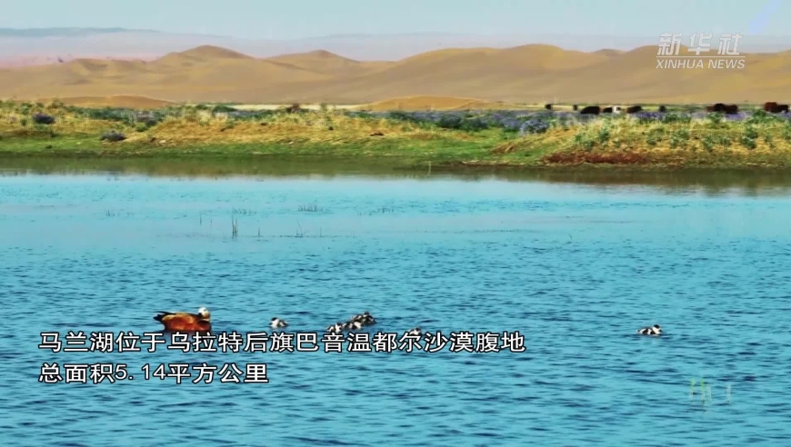 2024澳门濠江论坛,专家权威解答_DKO47.659任务版