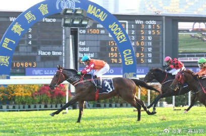 2o24澳门正版精准资料49马,担保计划执行法策略_LUB85.869限定版