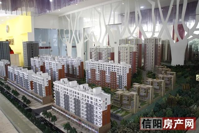 揭秘信阳楼市最新动态!📢