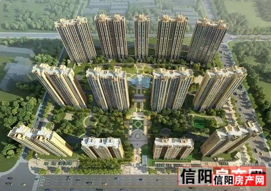 揭秘信阳楼市最新动态!📢