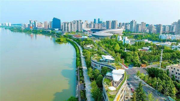 遂宁之窗昨日最新动态,多维度探讨与解析